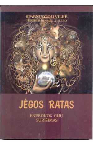 Jėgos ratas