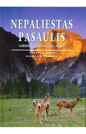 Nepaliestas pasaulis