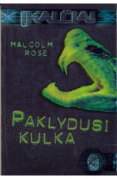 Paklydusi kulka