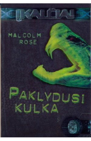 Paklydusi kulka