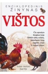 Vištos