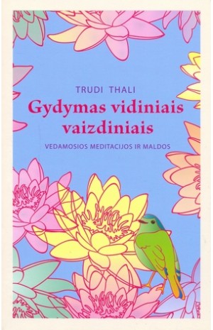 Gydymas vidiniais vaizdiniais