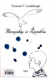 Berniukas ir žuvėdros