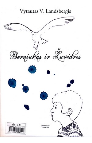 Berniukas ir žuvėdros