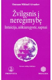 Žvilgsnis į neregimybę