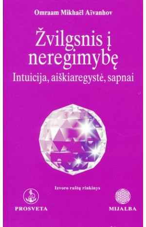 Žvilgsnis į neregimybę