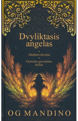 Dvyliktasis angelas